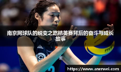 南京网球队的蜕变之路精英赛背后的奋斗与成长故事